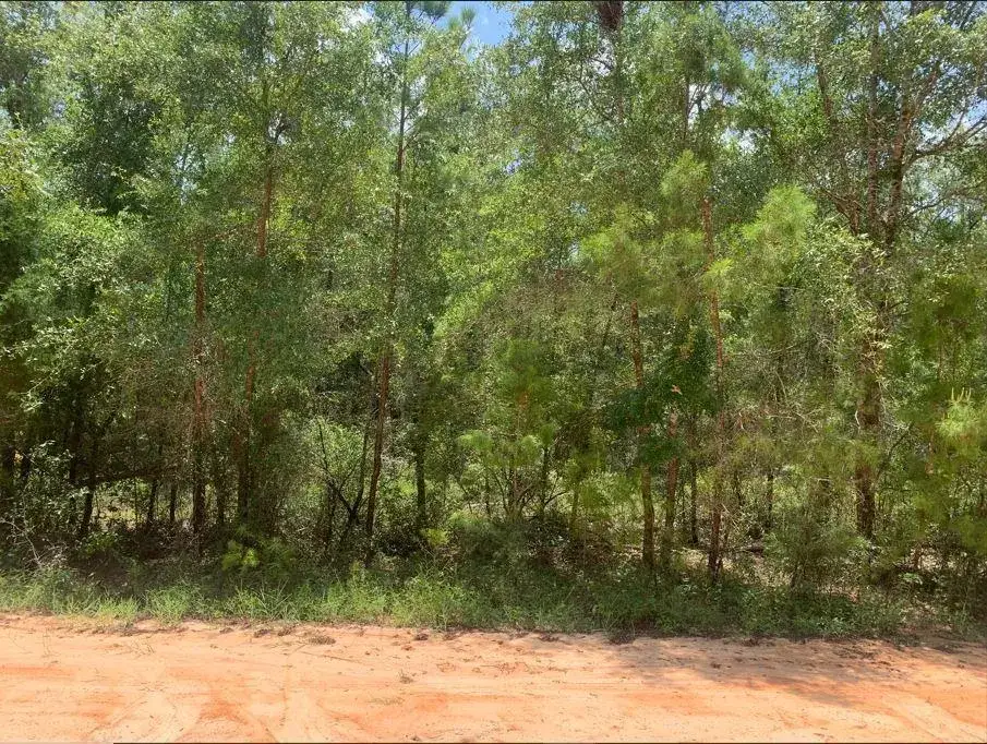 Land/Boat Docks for sale at 115 Florida Boulevard, FL 32189
