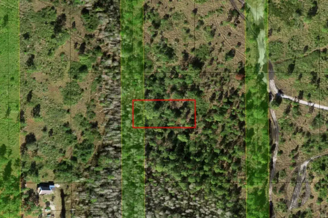 Commercial Land for sale at 0 Holopaw Groves Road, FL 34772