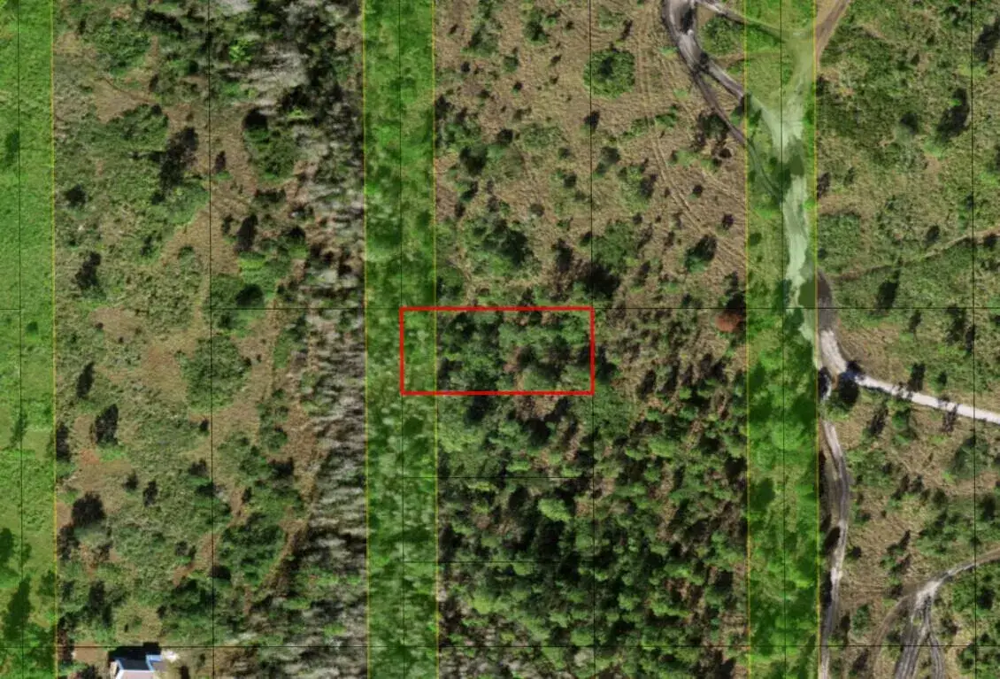 Commercial Land for sale at 0 Holopaw Groves Road, FL 34772