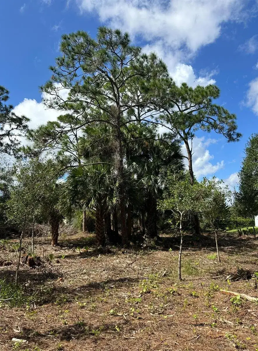 Commercial Land for sale at 9125 106TH Avenue, Vero Beach FL 32967