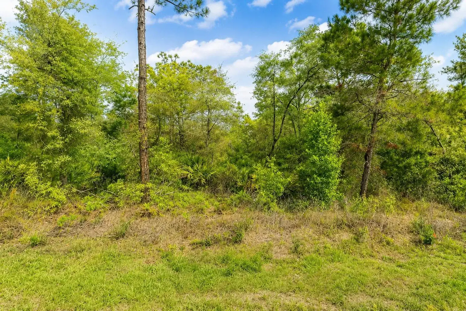 Commercial Land for sale at 3075 W BEDFORD Lane, FL 34433