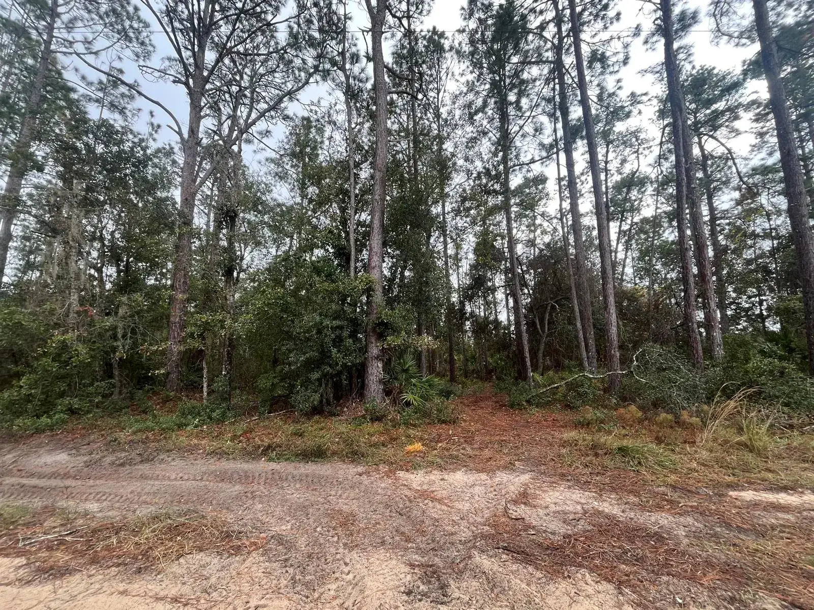 Commercial Land for sale at Tbd susan Street, FL 32148