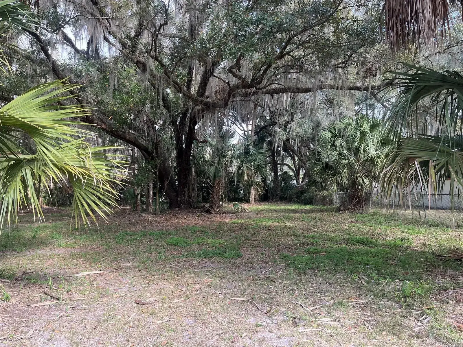 Commercial Land for sale at 0 SE 183rd Avenue, FL 32640