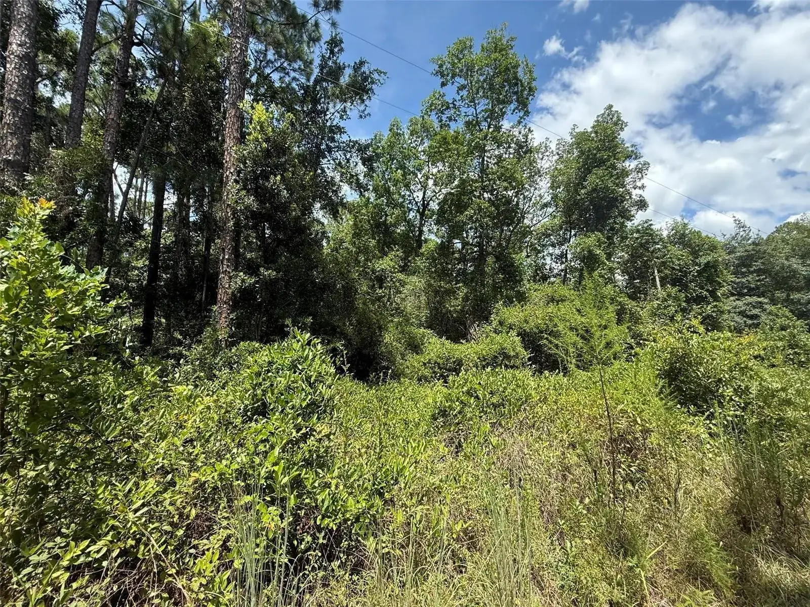 Commercial Land for sale at 313 CALHOUN Avenue, FL 32140