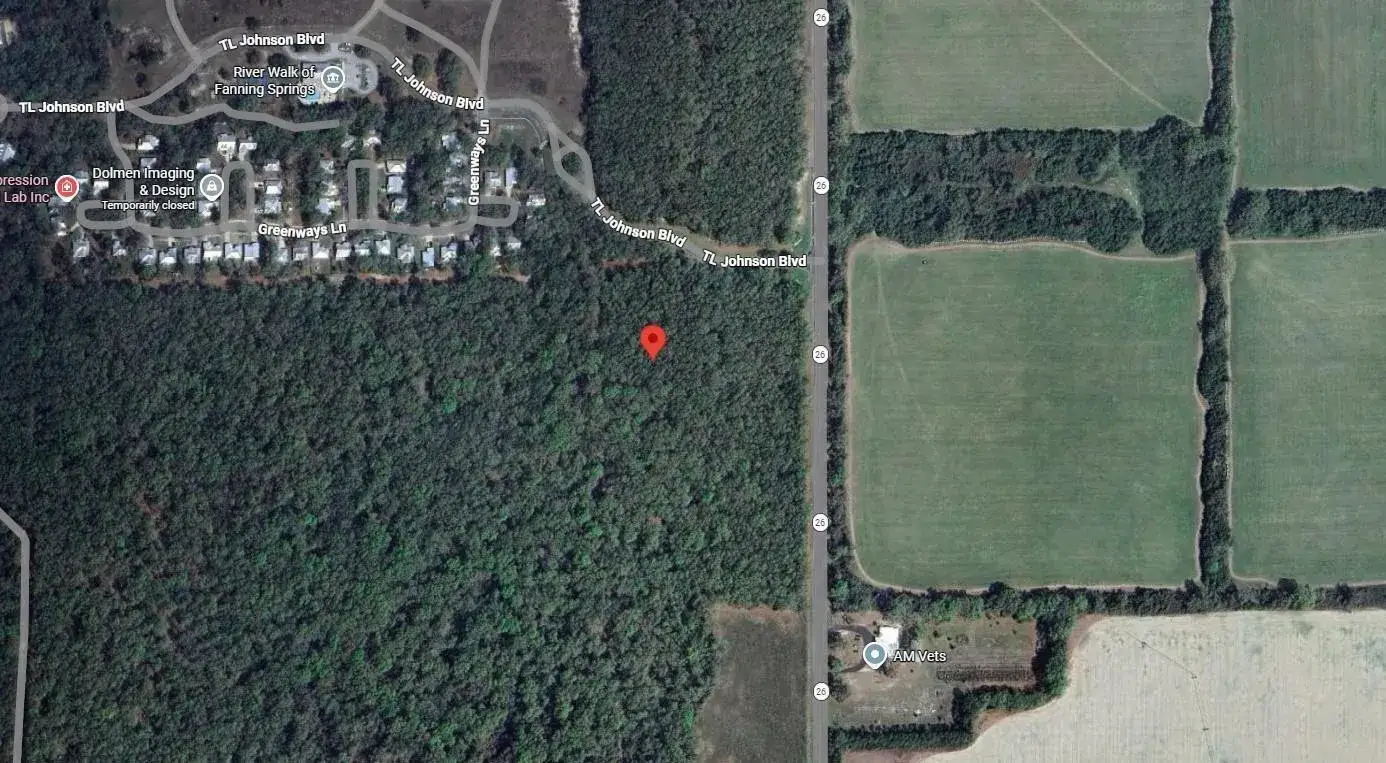 Commercial Land for sale at 0 SW SR 26, FL 32693