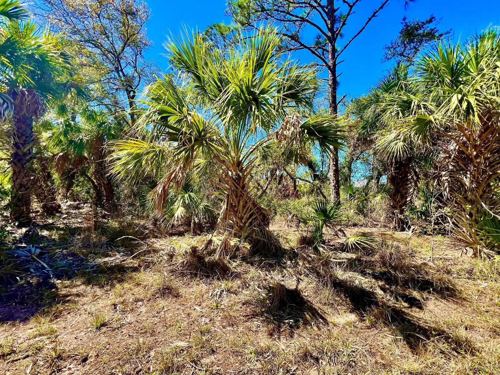 Commercial Land for sale at 441 Juper Street, Port Charlotte FL 33953