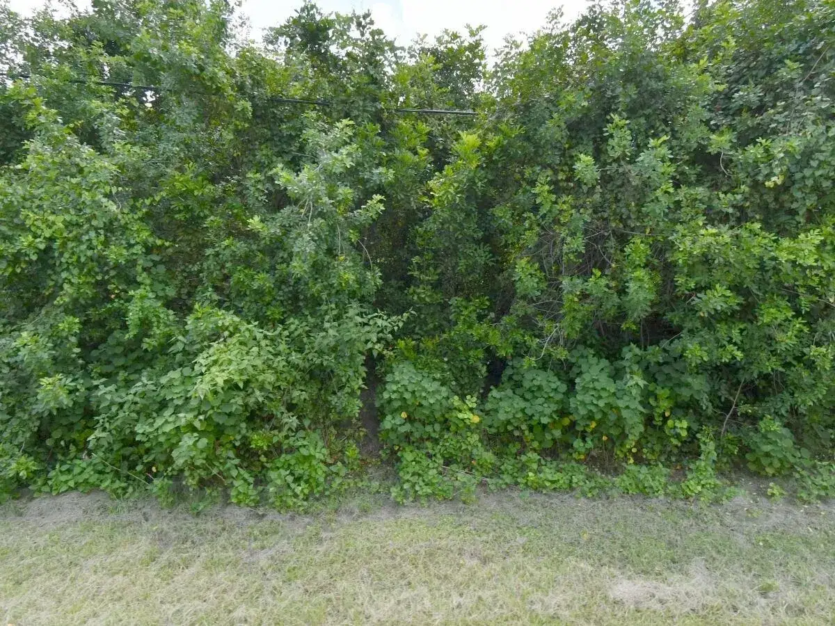 Land/Boat Docks for sale at 3025 SW COLLINGS Drive, Port St. Lucie FL 34953