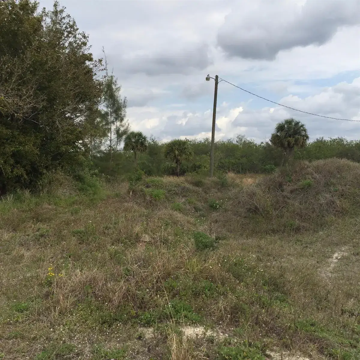 Commercial Land for sale at 20636 LOUISE Street, Loxahatchee FL 33470