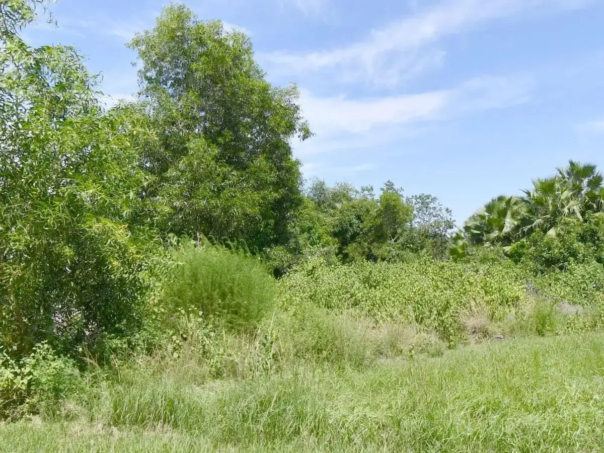 Commercial Land for sale at 3080 SE FARLEY Road, Port St. Lucie FL 34952