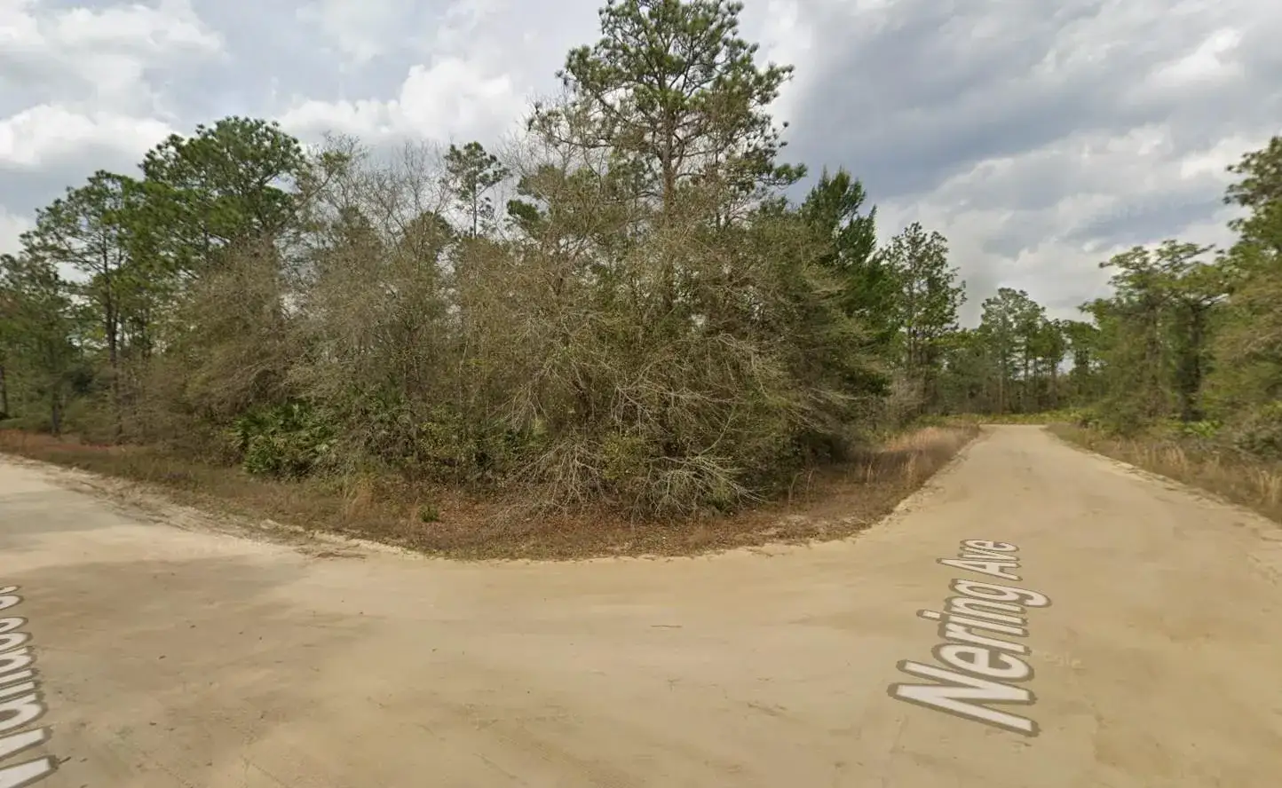 Commercial Land for sale at Tbd Wallace Street, FL 32148