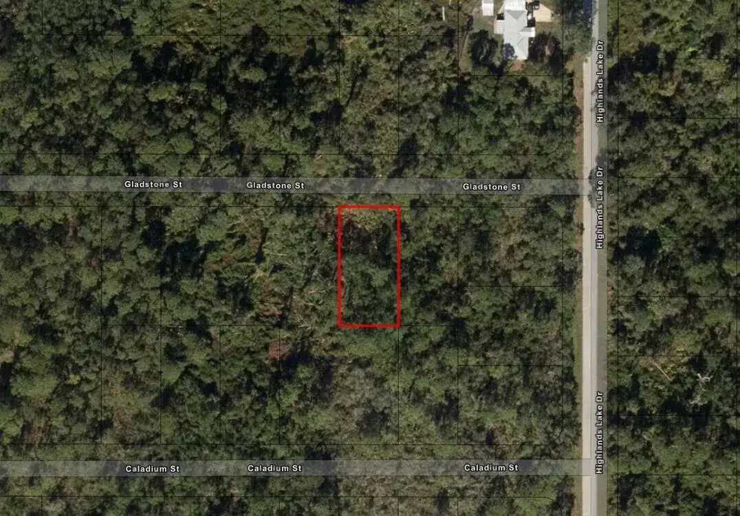 1521 Gladstone Street, Lake Placid FL 33852
