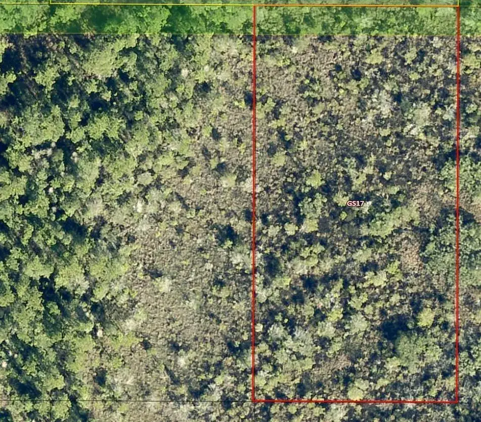 Commercial Land for sale at 0 Salyers Road, FL 34736