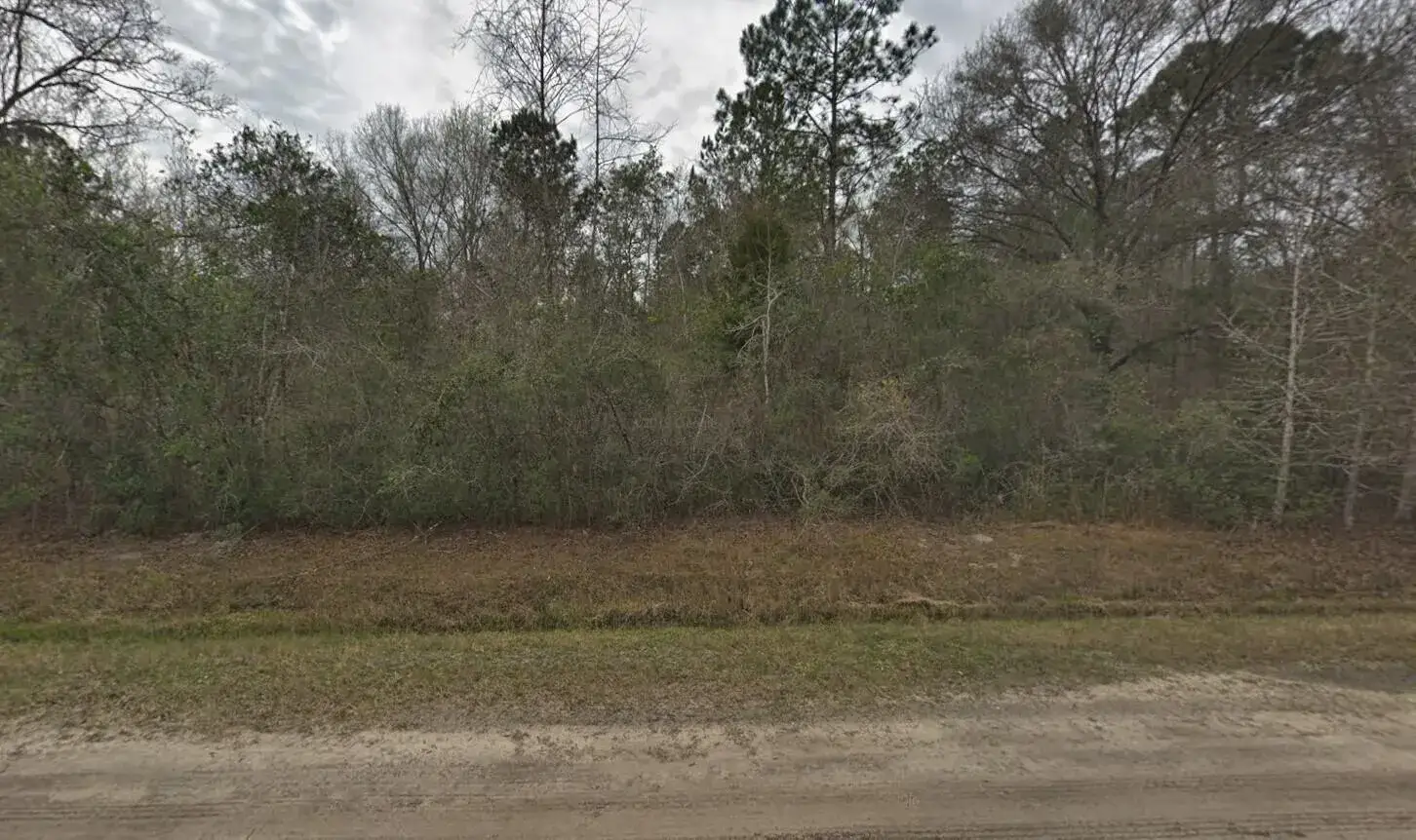 Commercial Land for sale at 10135 Nikolich Avenue, FL 32145