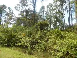 1207 DAYTON Avenue, Lehigh Acres FL 33972