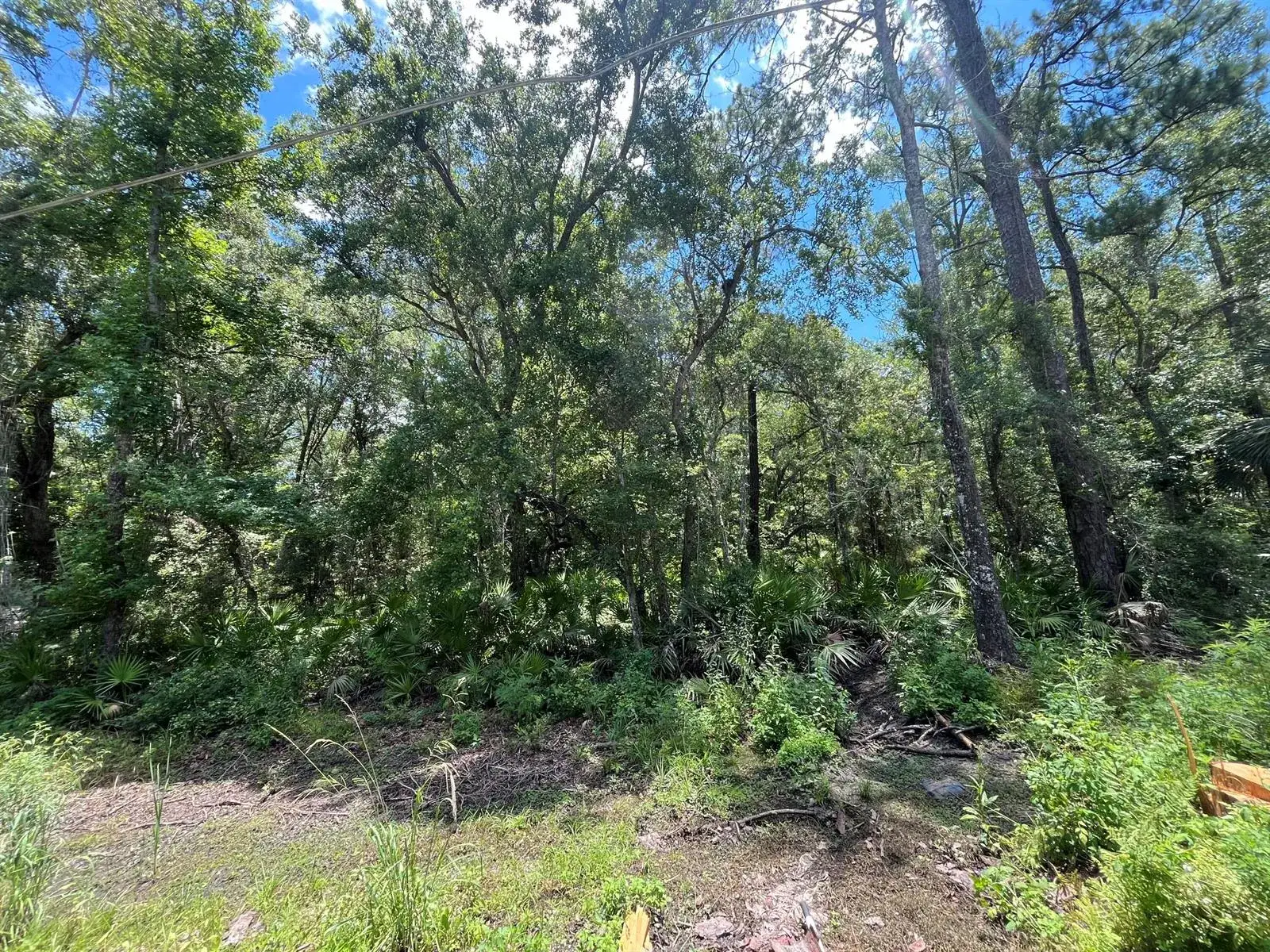 Commercial Land for sale at Tbd FRANKLIN Drive, FL 32327