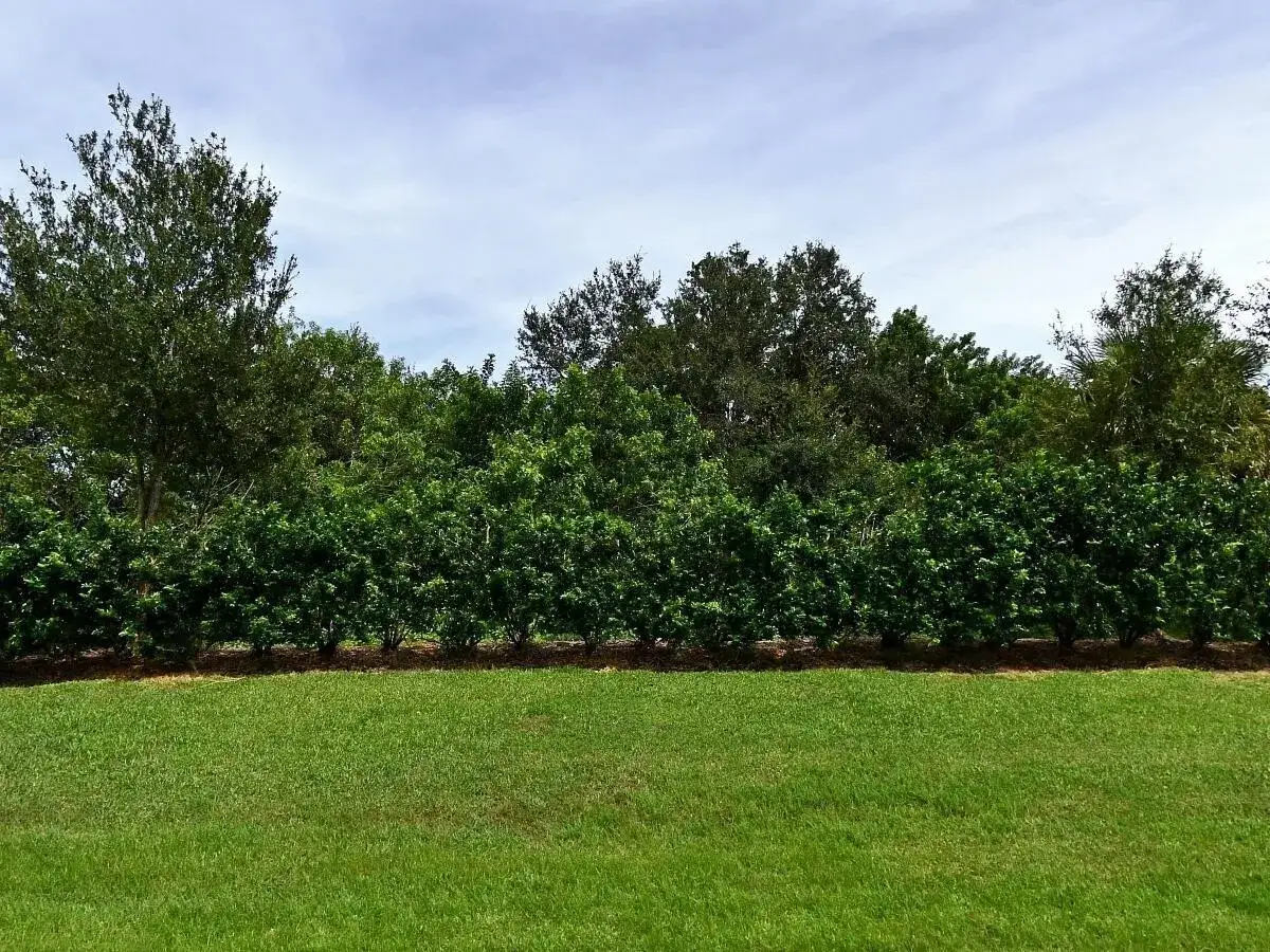 Commercial Land for sale at 4341 WINDING Place, Fort Pierce FL 34981