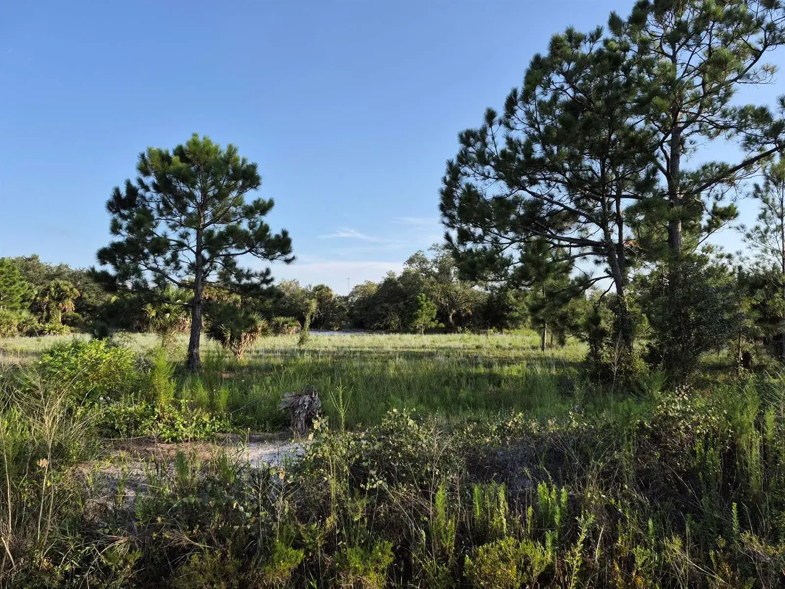 Commercial Land for sale at 16810 NW 292ND Street, Okeechobee FL 34972