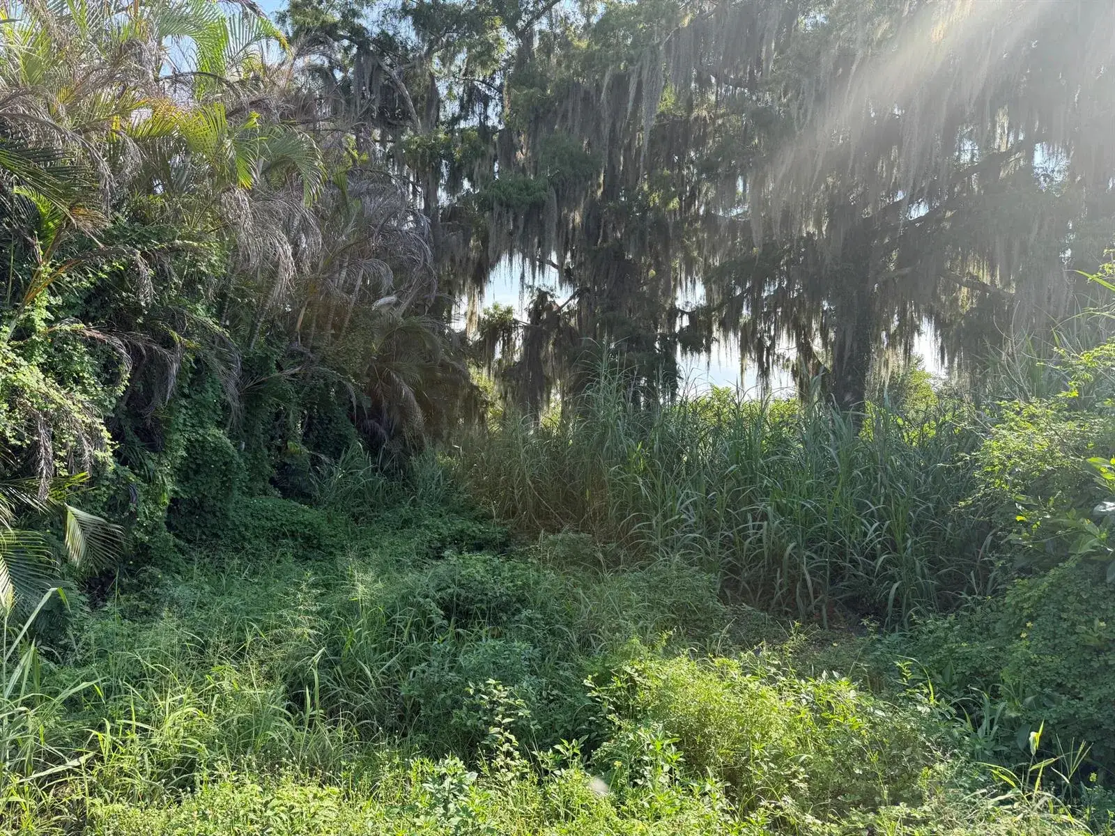 Commercial Land for sale at 9825 U.S. 441, Okeechobee FL 34974
