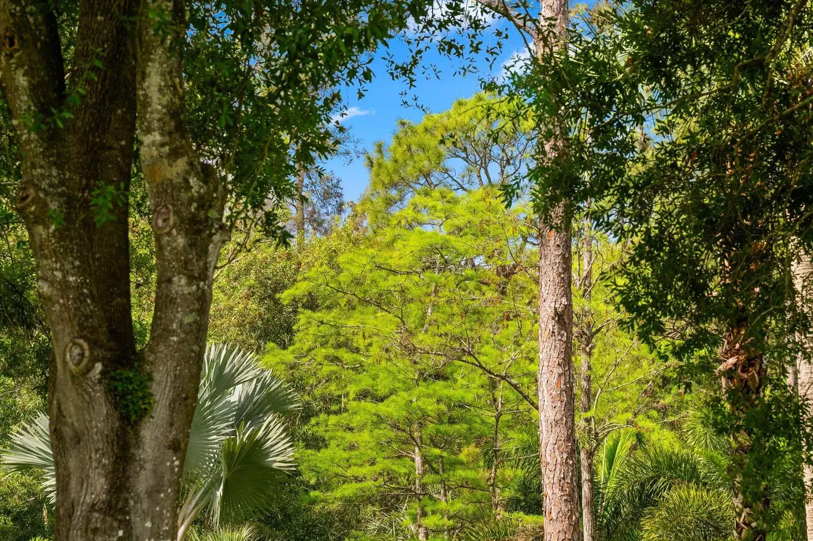 Commercial Land for sale at Tbd F Road, FL 33470