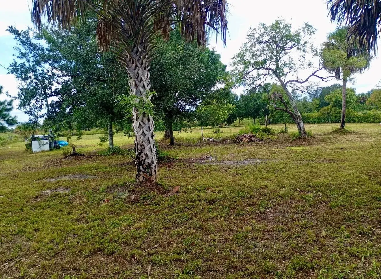 15313 NW 310TH Street N, Okeechobee FL 34972