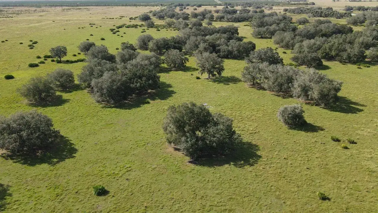 Commercial Land for sale at 101 PERCHERON Trail, FL 33960