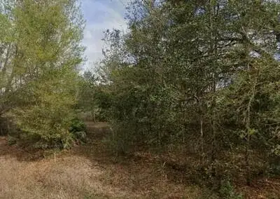 Commercial Land for sale at Tba Lenore Avenue, FL 32148