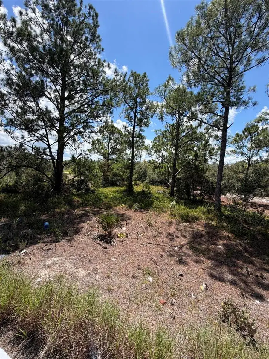 391 MARIONETTE Avenue, Lake Placid FL 33852