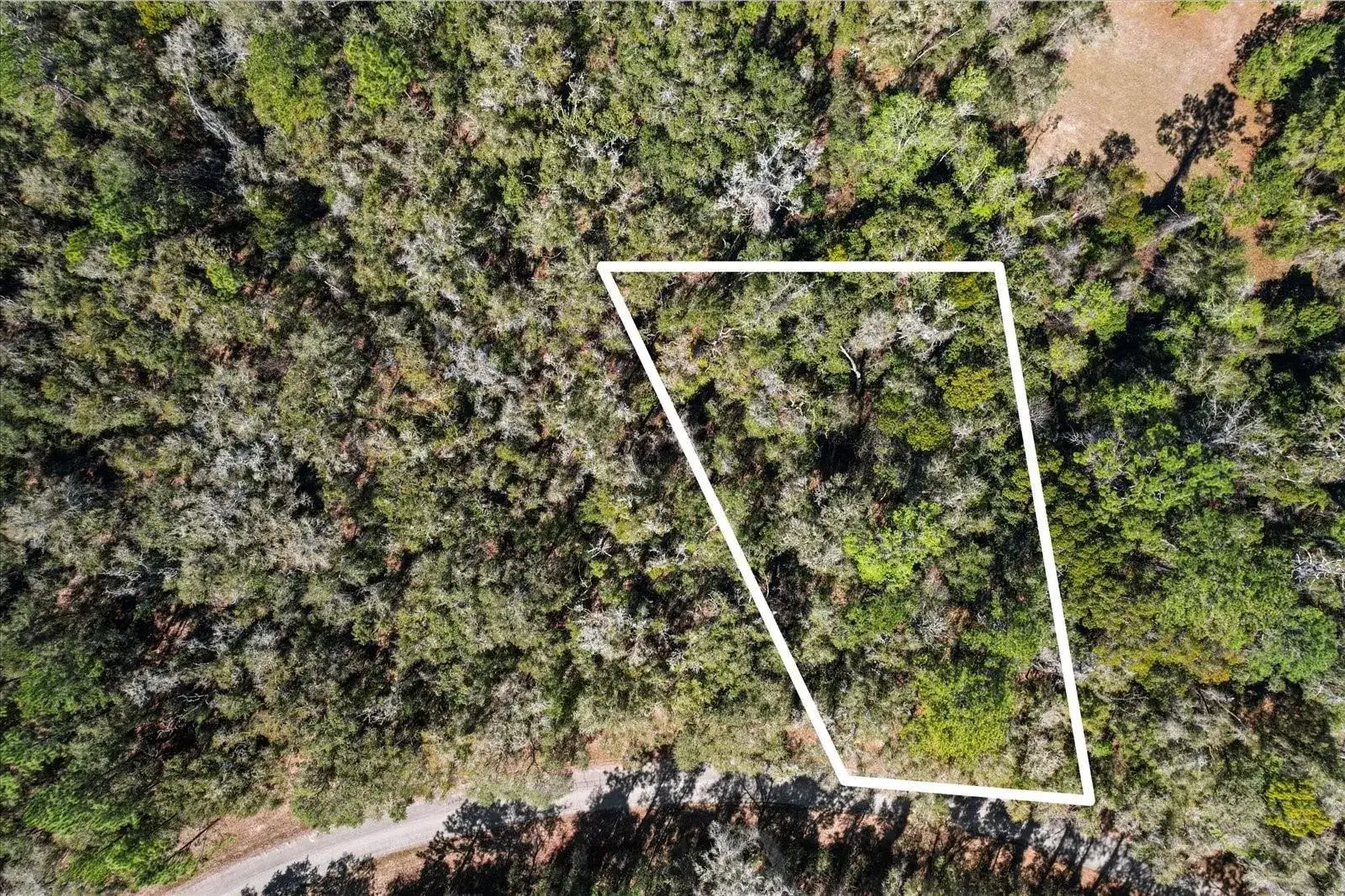 Commercial Land for sale at 987 E ODIN Drive, FL 34434