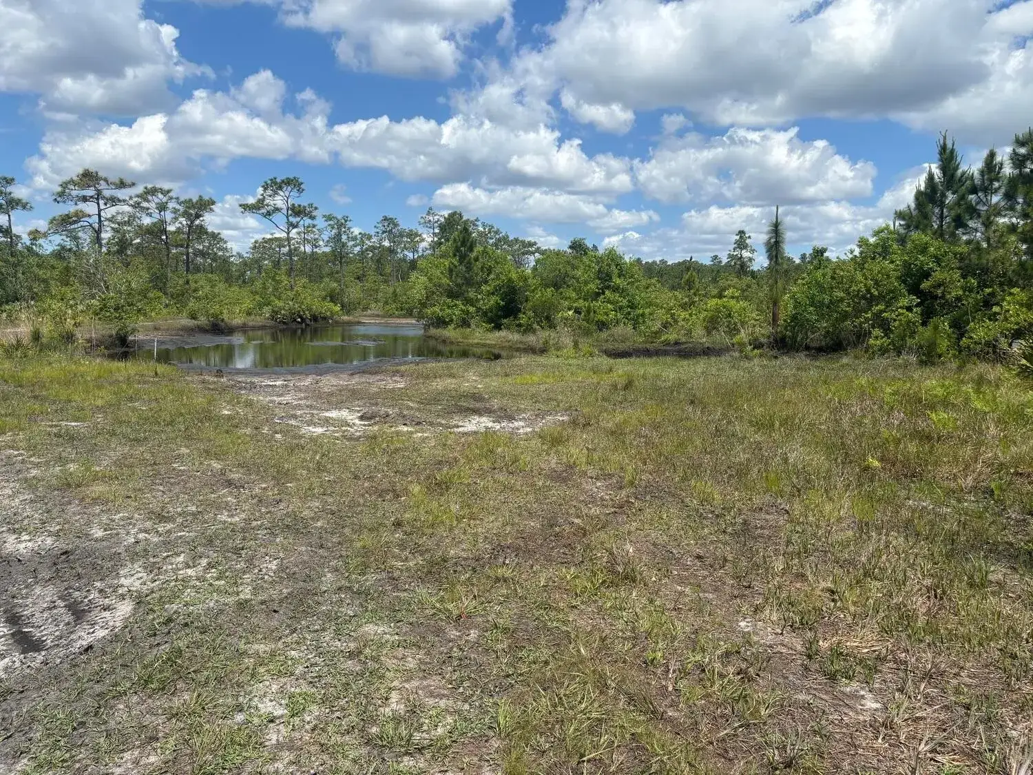 Commercial Land for sale at 0 Holopaw Groves Road, FL 34772