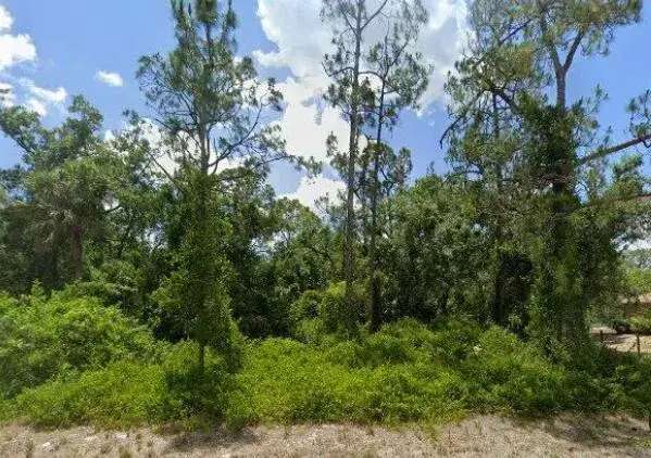 Commercial Land for sale at 2117 IRVING Avenue, FL 33920
