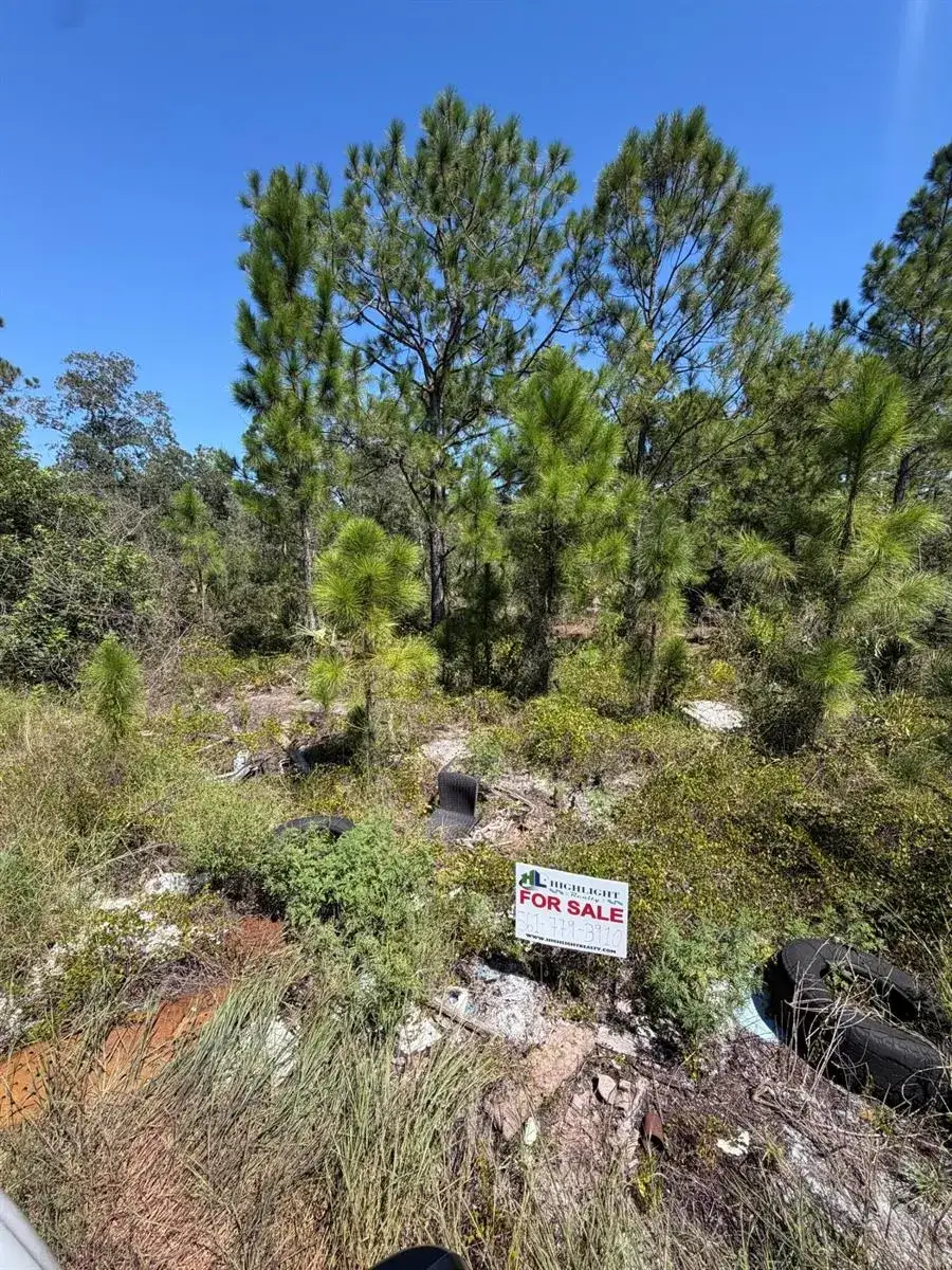 Commercial Land for sale at 375 CONCERT Drive, Lake Placid FL 33852