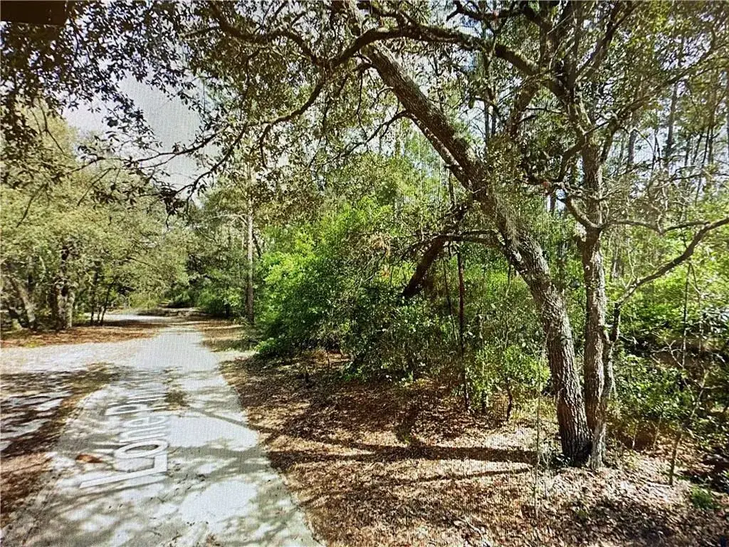 Land/Boat Docks for sale at 0000 Lone Pine Trail, FL 32666