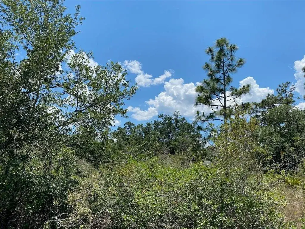 Land/Boat Docks for sale at Lot 24 Indian Lake Drive, FL 33855