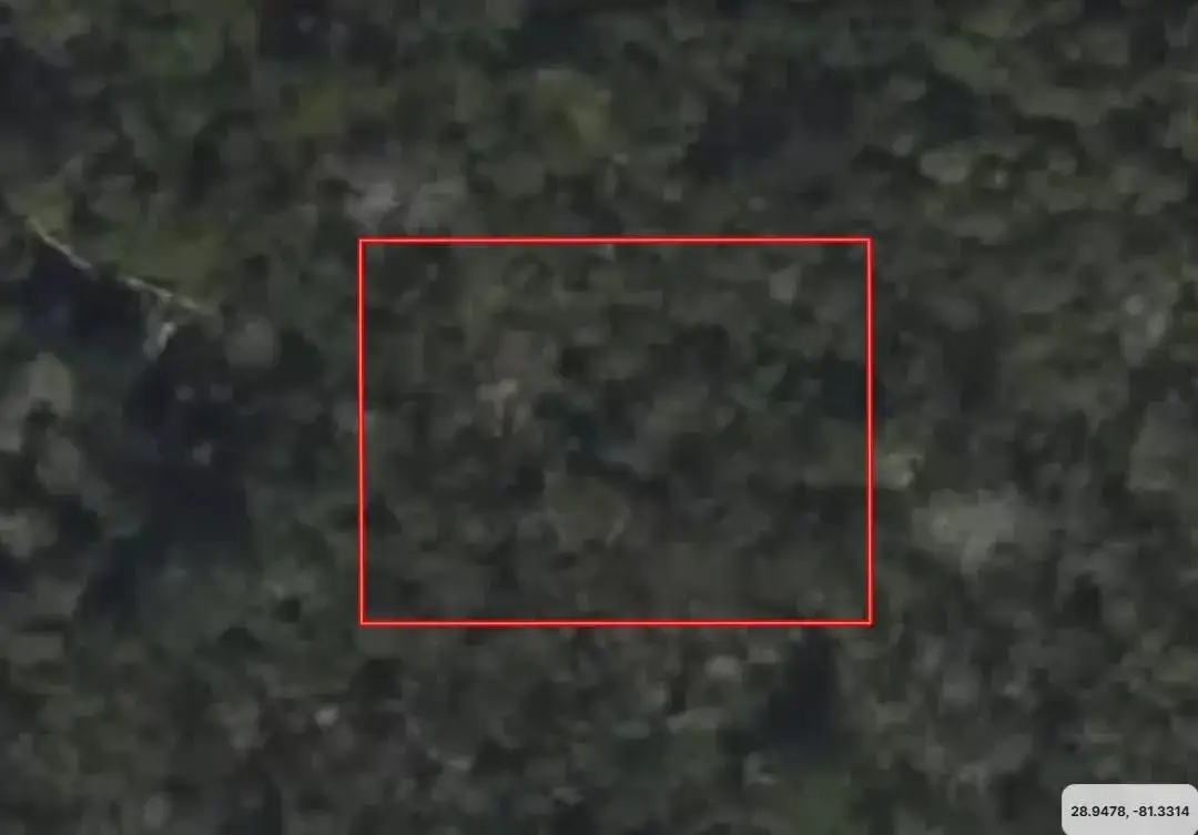 Land/Boat Docks for sale at 0 Riegel Paper, FL 32763