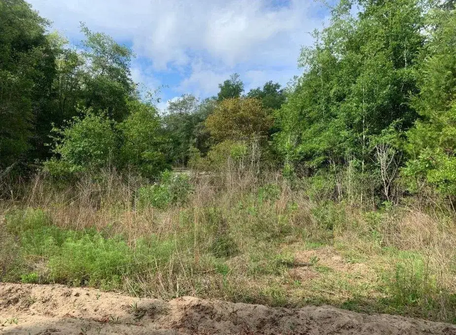 Land/Boat Docks for sale at 0 Douglas Drive, FL 32148