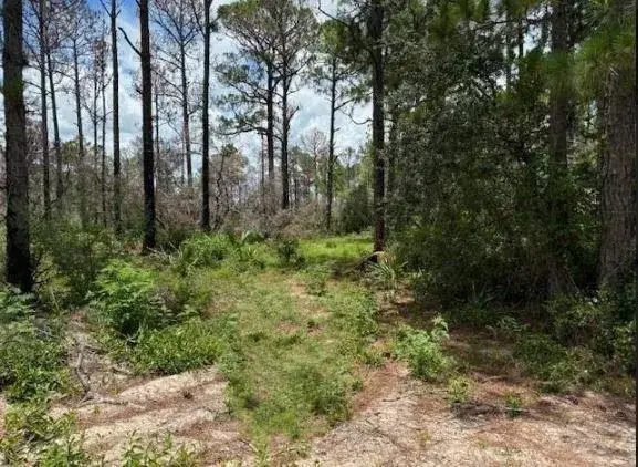 328 Claverton Drive, Lake Placid FL 33852
