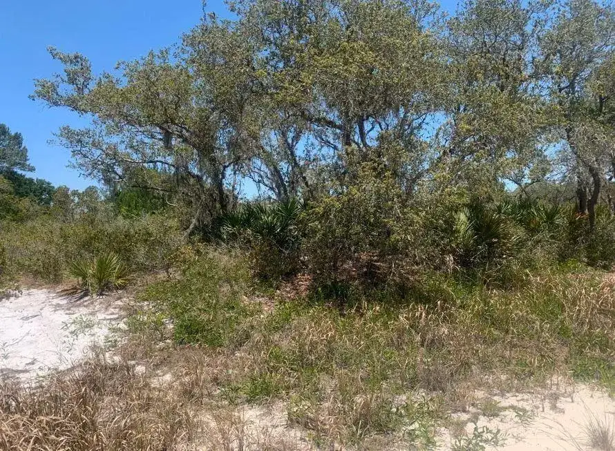 Land/Boat Docks for sale at 2924 W Quincy Road, FL 33825