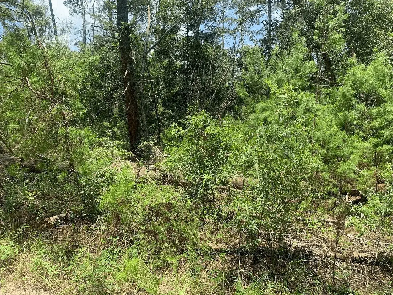 Land/Boat Docks for sale at 111 New York Avenue, FL 32148