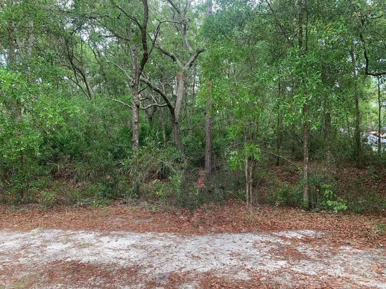 Land/Boat Docks for sale at 209 Highline Trail, FL 32189