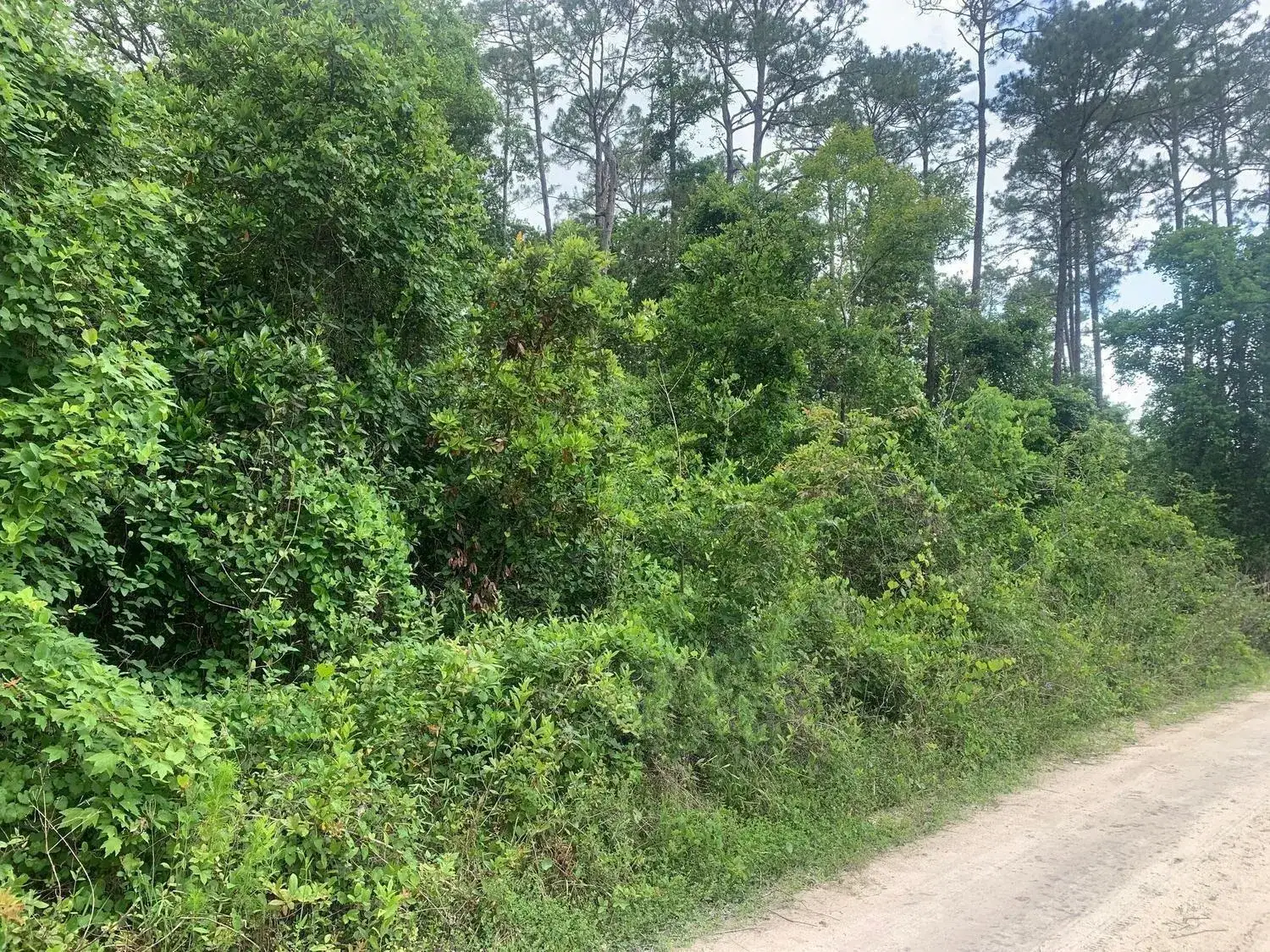 Land/Boat Docks for sale at 0 Coot Drive, FL 32189