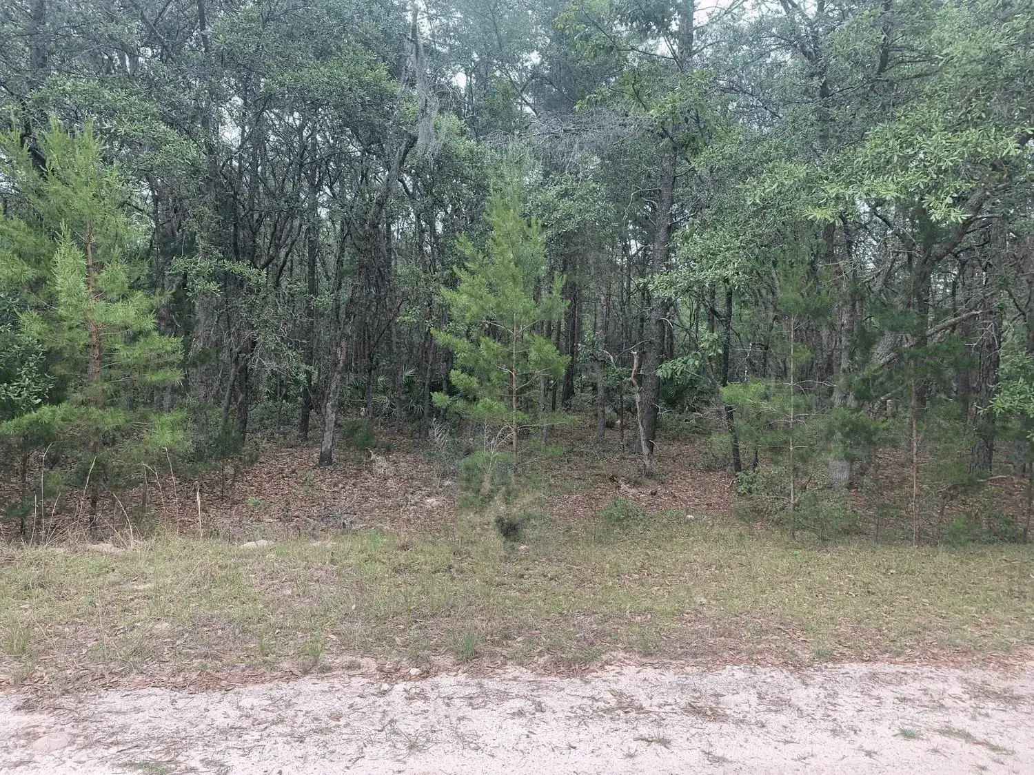 Land/Boat Docks for sale at 0 Huron, FL 32148