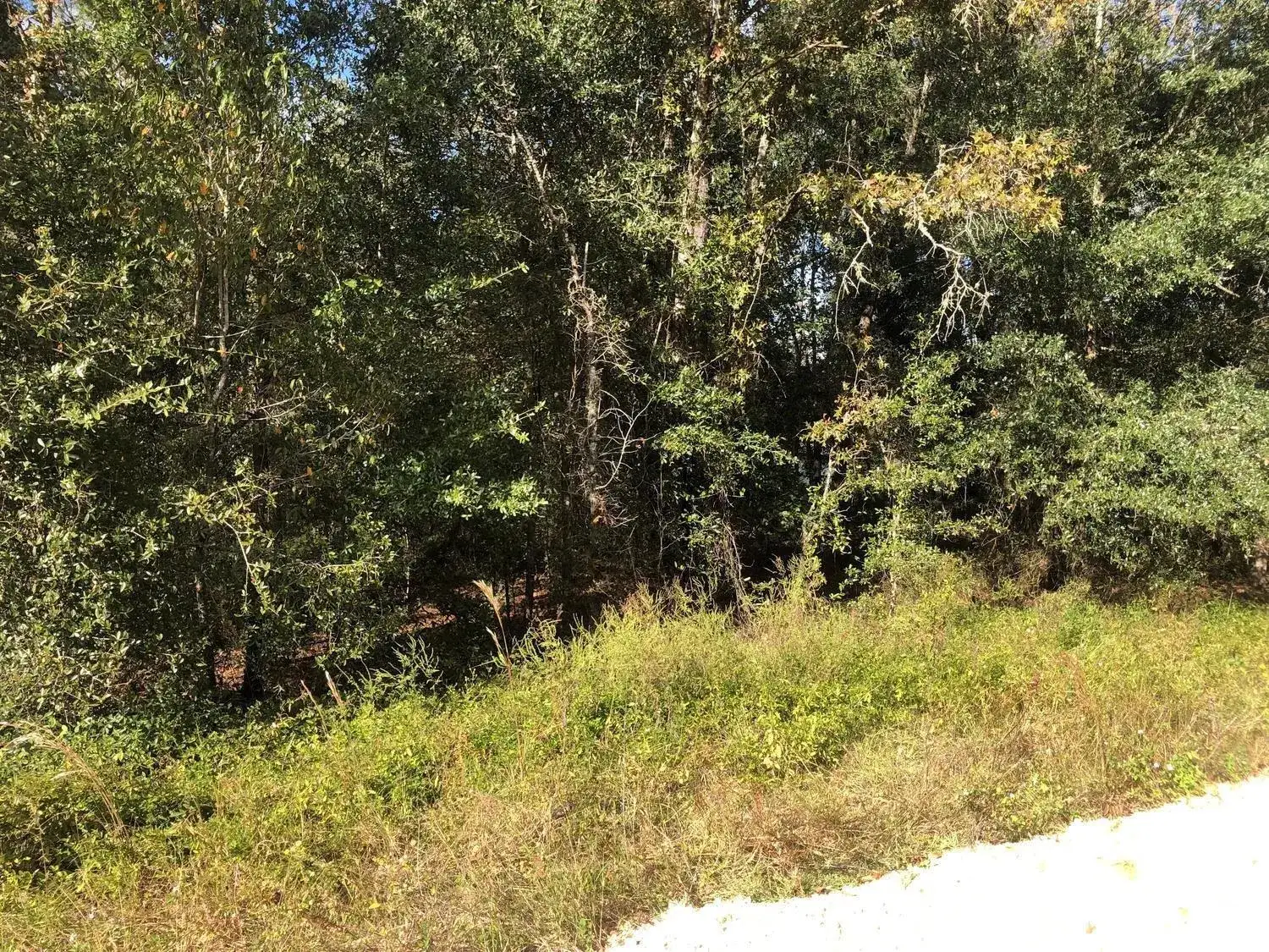 Land/Boat Docks for sale at 0 Evans Avenue, FL 32148