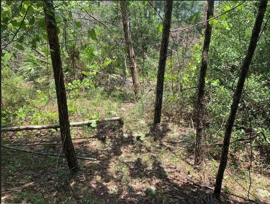 Land/Boat Docks for sale at 213 Kansas Street, FL 32189