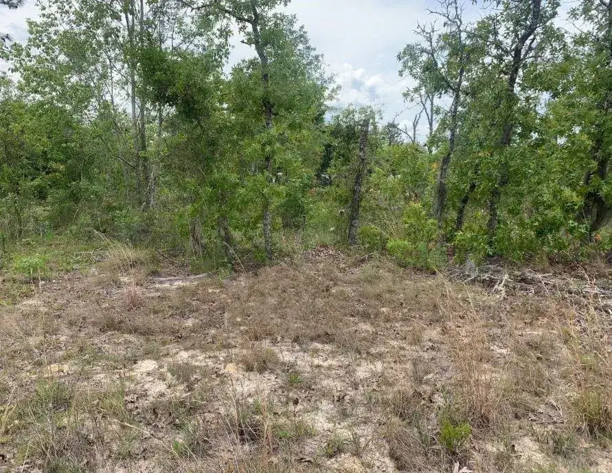 Land/Boat Docks for sale at 0 Monroe Street, FL 32148