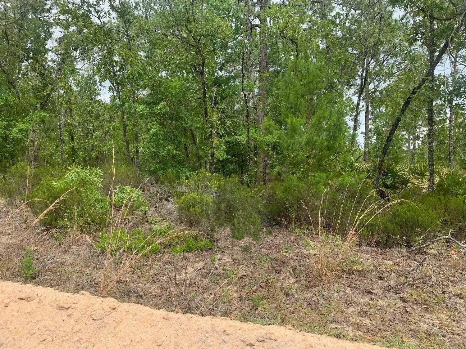 Land/Boat Docks for sale at 0 Miami Street, FL 32148