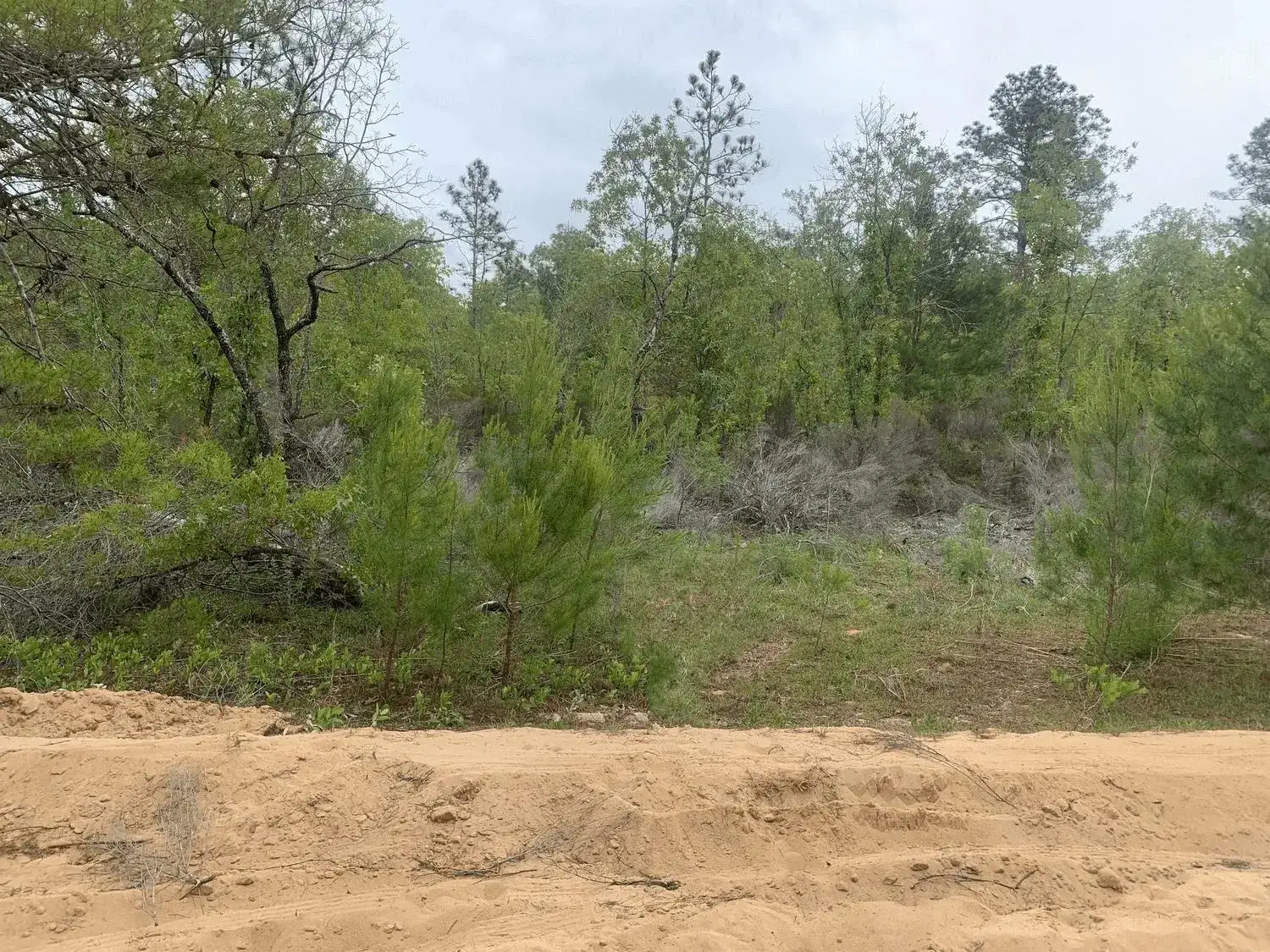 Land/Boat Docks for sale at 0 May Lane, FL 32148