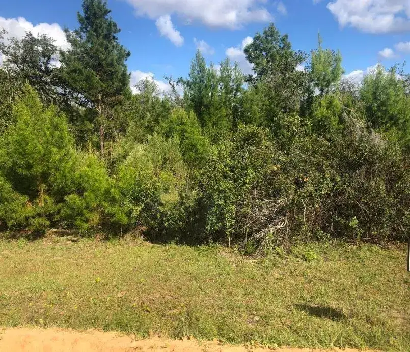 Land/Boat Docks for sale at 204 Usina Avenue, FL 32148