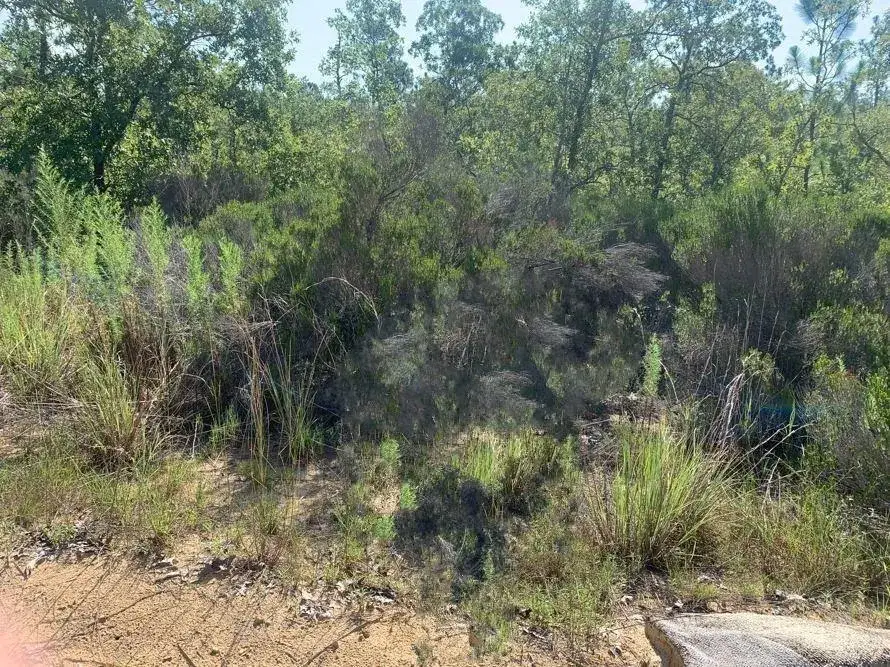 Land/Boat Docks for sale at 0 Manatee Street, FL 32148