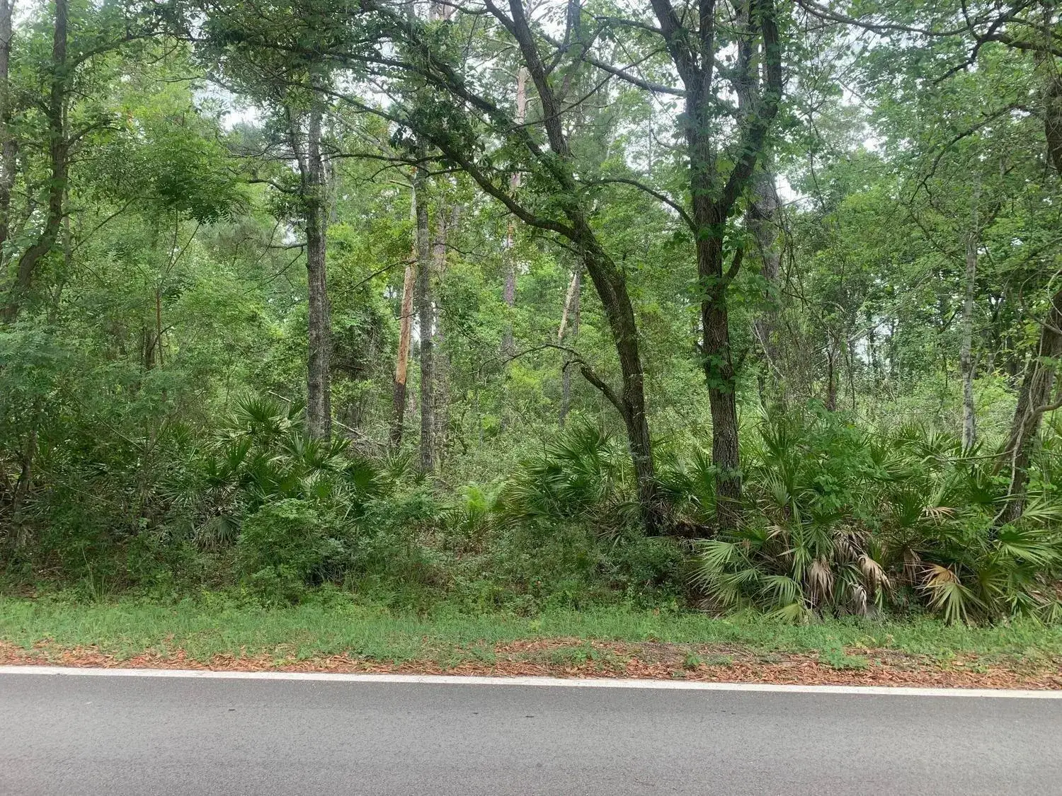 Land/Boat Docks for sale at 0 Theresa Avenue, FL 32148