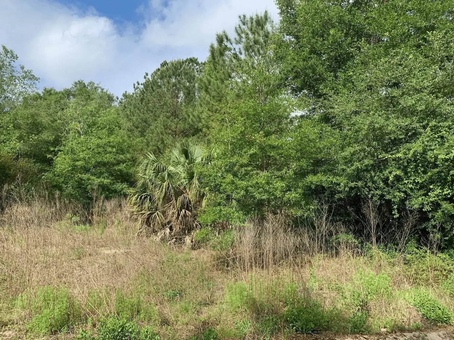 Land/Boat Docks for sale at 0 Douglas Drive, FL 32148